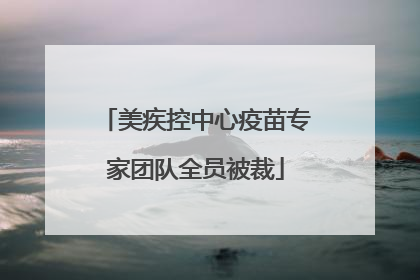 美疾控中心疫苗专家团队全员被裁